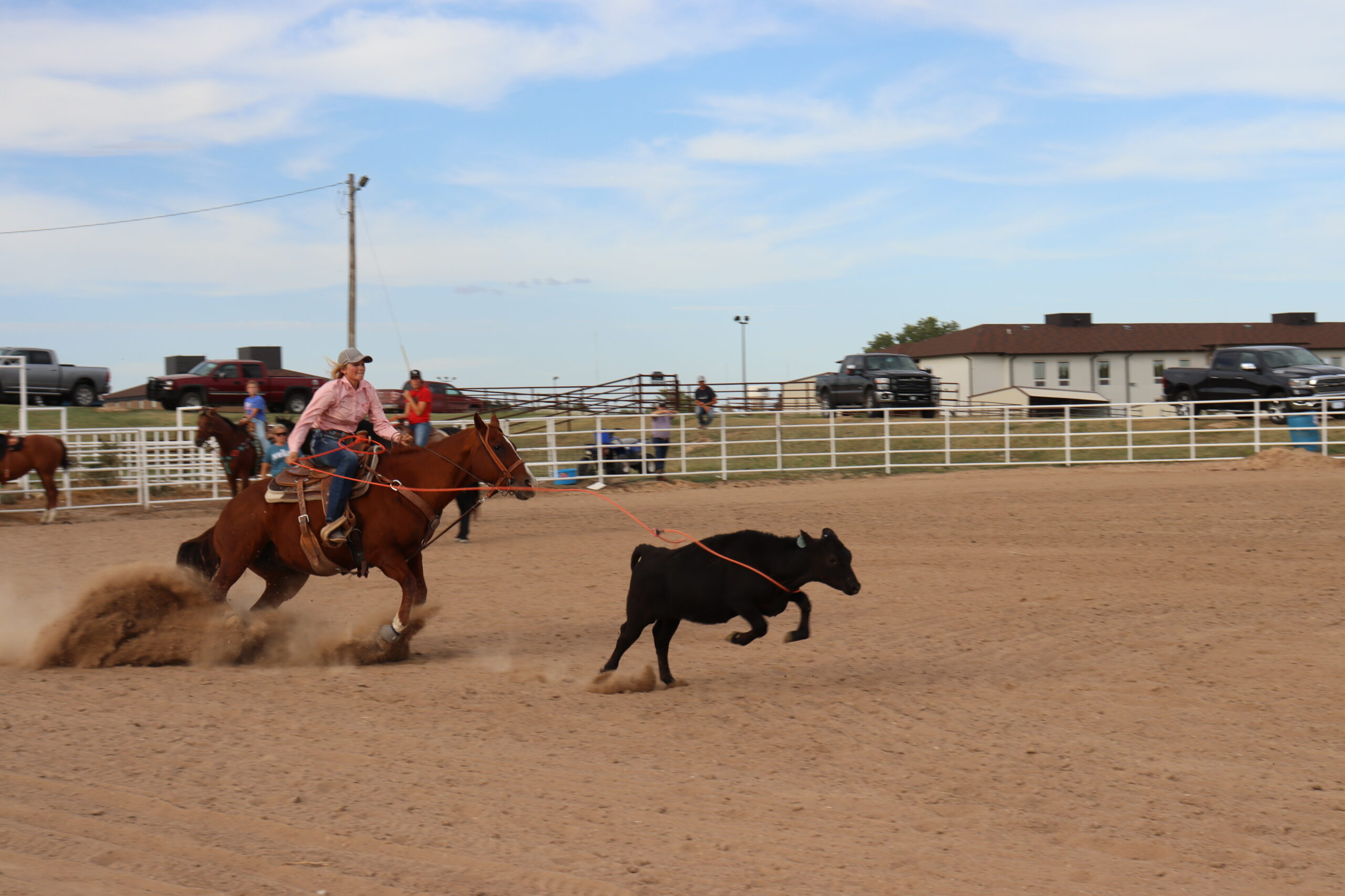Taylor Davis ropes a calf during rodeo practice on Sept. 27. [Photo by Lance Ziesch]